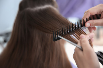 Fototapeta premium Professional hairdresser working with client in salon
