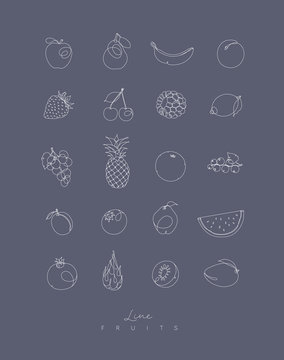 Pen line fruits icons grey