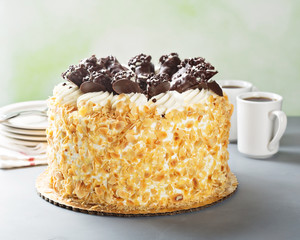 Italian cake with chocolate cannoli on top