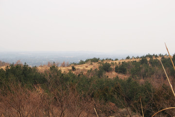 Beautiful Scenery of Jeju Island / Scenery Picture of Jeju Island, Korea