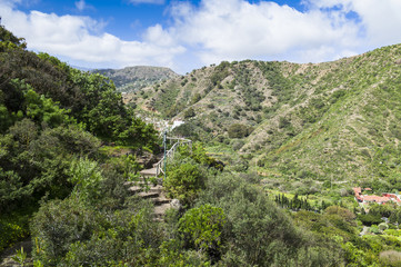 Botanical Garden “Jardín Botánico Canario Viera y Clavijo” near Las Palmas Gran Canaria.