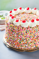 Birthday cake covered in sprinkles