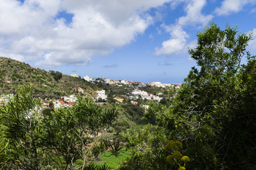 Fototapeta na wymiar Botanical Garden “Jardín Botánico Canario Viera y Clavijo” near Las Palmas Gran Canaria.