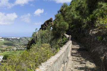 Botanical Garden “Jardín Botánico Canario Viera y Clavijo” near Las Palmas Gran Canaria.
