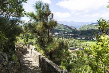 Botanical Garden “Jardín Botánico Canario Viera y Clavijo” near Las Palmas Gran Canaria.