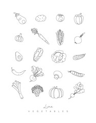 Pen line vegetables icons