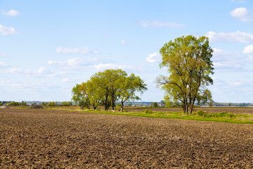 American Farmland With Blue Sky