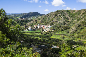 Botanical Garden “Jardín Botánico Canario Viera y Clavijo” near Las Palmas Gran Canaria.