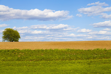 Fototapeta premium American Farmland With Blue Sky
