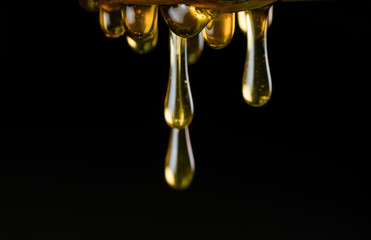 Multiple Drops of Honey String from Drizzler