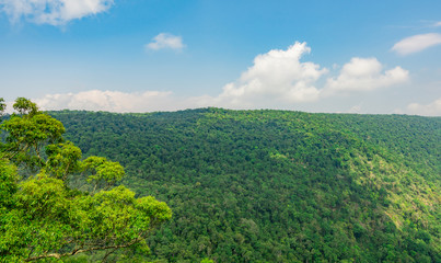 Beautiful view of tropical rainforest at Pha Diao Dai cliffs of Khao Yai national park in Thailand. World heritage. Green dense tall trees on the mountain and blue sky and cumulus clouds.