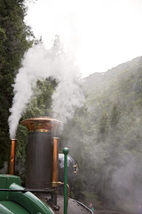 Fototapeta na wymiar Steam Funnel Of A Steam Train Puffing Smoke