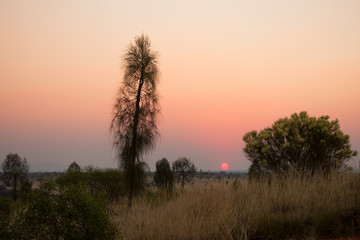 Setting sun in a  smoke filled sky in the outback of the Northern Territory in Australia