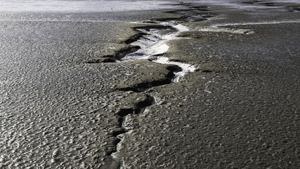 Winter tidal flat