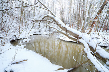 Small stream in snowy winter forest nature
