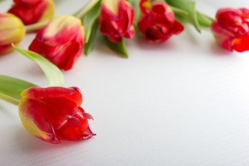 Red yellow tulips on white wooden background with copyspace