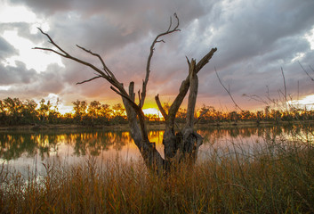 Sunset in Sunraysia country Australia