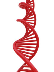 red DNA string front view isolated on a white background 3d rendering