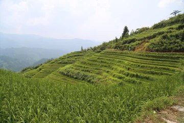 Gordijnen Dragon Backbone Rice Terraces in China © Fike2308