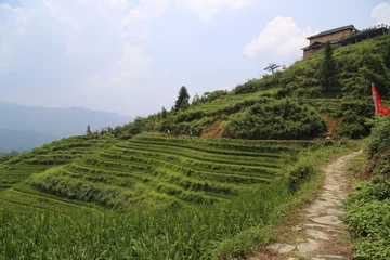 Gordijnen Dragon Backbone Rice Terraces in China © Fike2308