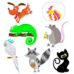 a collection of funny pets, a dog, a cat, a parrot, a chameleon. raccoon, fish, rat