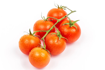 Tomato on white