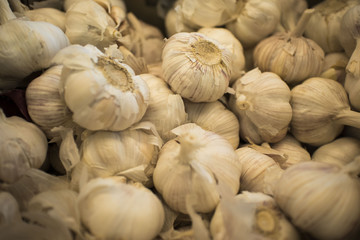 White garlic pile texture. Fresh garlic on market table closeup photo. Pile of white garlic heads. White garlic head heap top view