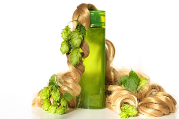Shampoo with hops extract. Green shampoo and blond curls with cones of hops on white background.hair products with hops extract. hair care with hop.copy space. Natural Herbal Cosmetics for Hair
