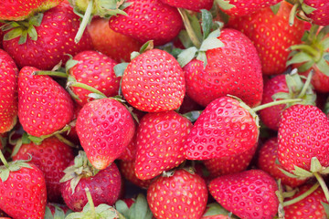 freshly ripe strawberries background
