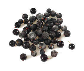frozen black currant