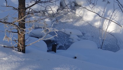 The frozen branches of a tree.