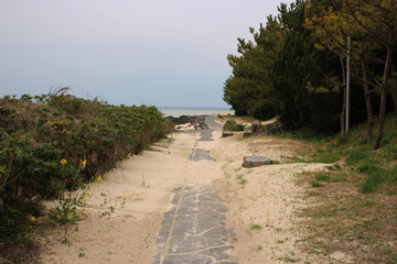 Beautiful Scenery of Jeju Island / Scenery Picture of Jeju Island, Korea