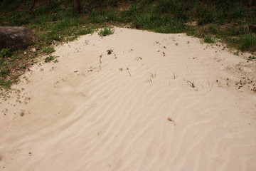 Beautiful Scenery of Jeju Island / Scenery Picture of Jeju Island, Korea