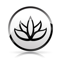 lotus flower icon on white background
