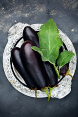 long purple eggplant