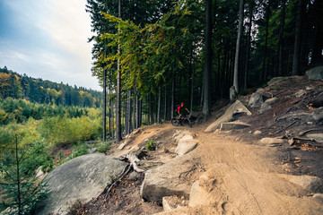 Fototapeta premium Mountain biker riding cycling in autumn forest