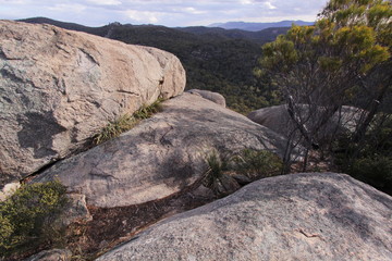 Fototapeta na wymiar Girraween NP in New South Wales in Australia 