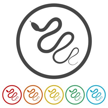 Reptile snake flat icon for animal apps, 6 Colors Included