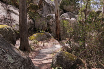 Bald Rock NP in New South Wales, Australia
