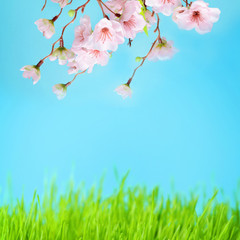Obraz na płótnie Canvas meadow with green grass and flowers on blue sky background