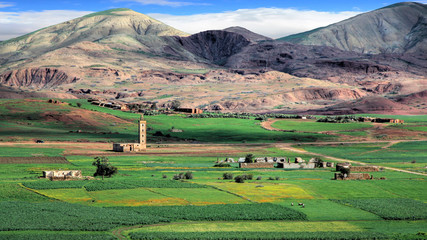 Landscape in the plains of Fez in Morocco
