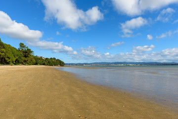Fototapeta na wymiar A deserted stretch of beach on a bright day under blue cloudy skies