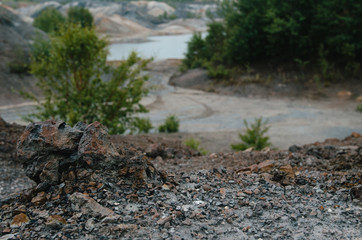Fototapeta premium scorched earth