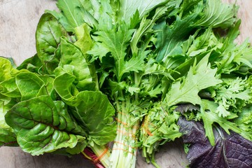 fresh lettuce close up