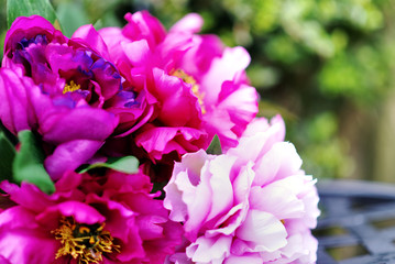 Farbenfrohes Blumenmeer