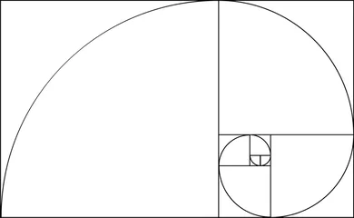 Velours gordijnen Golden ratio template. Composition spiral guideline illustration © o_a
