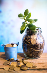 Money tree in a glass jar on a blurred background. Business concept of success