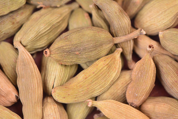 Cardamom spices