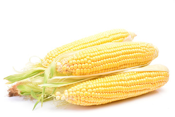 Fresh corn