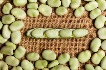 fresh broad beans on a rustic background